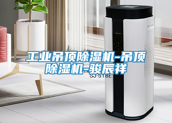 工業吊頂91看片软件大全-吊頂91看片软件大全-駿辰祥