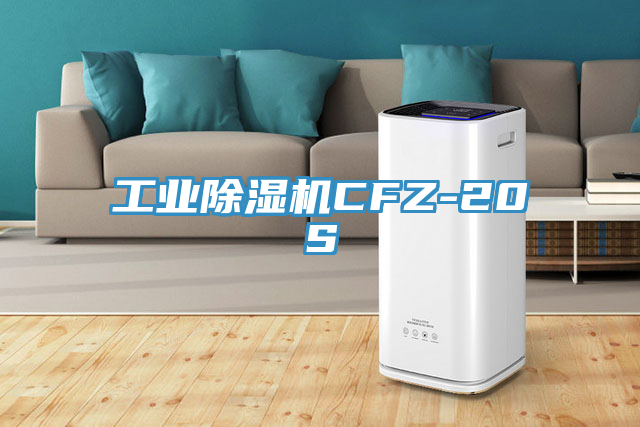 工業91看片软件大全CFZ-20S