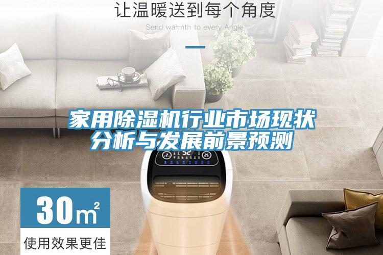 家用91看片软件大全行業市場現狀分析與發展前景預測