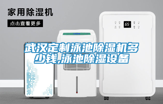 武漢定製泳池91看片软件大全多少錢,泳池除濕設備