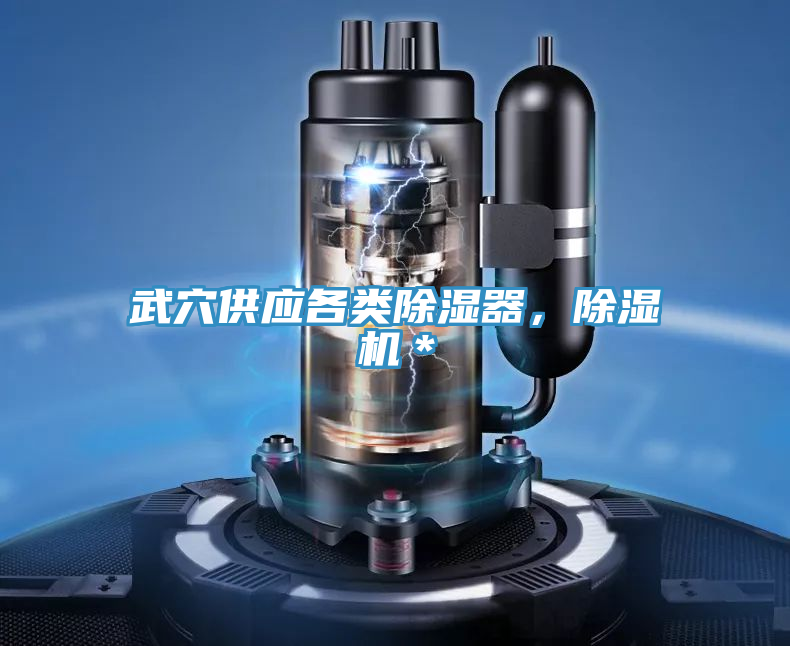 武穴供應各類除濕器，91看片软件大全＊