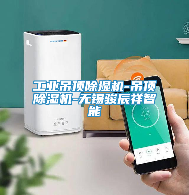 工業吊頂91看片软件大全-吊頂91看片软件大全-無錫駿辰祥智能