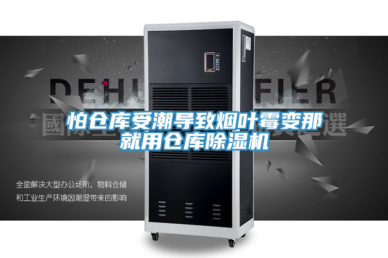 怕倉庫受潮導致煙葉黴變那就用倉庫91看片软件大全