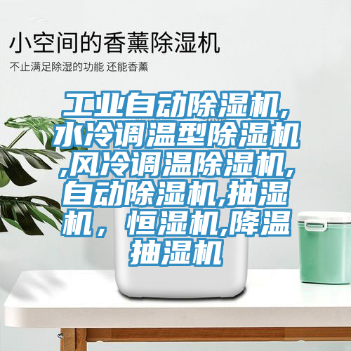 工業自動91看片软件大全,水冷調溫型91看片软件大全,風冷調溫91看片软件大全,自動91看片软件大全,抽濕機，恒濕機,降溫抽濕機