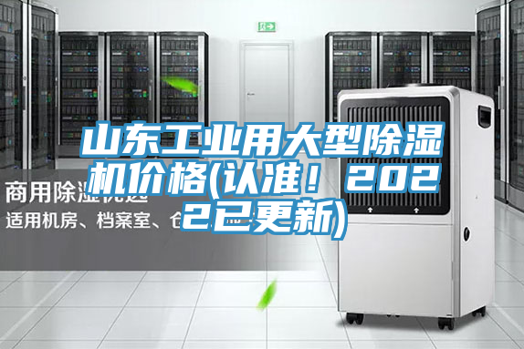 山東工業用大型91看片软件大全價格(認準！2022已更新)