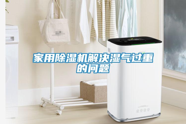 家用91看片软件大全解決濕氣過重的問題