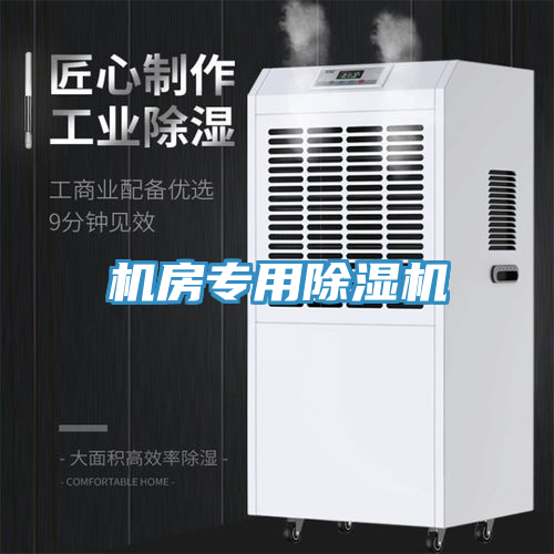 機房專用91看片软件大全
