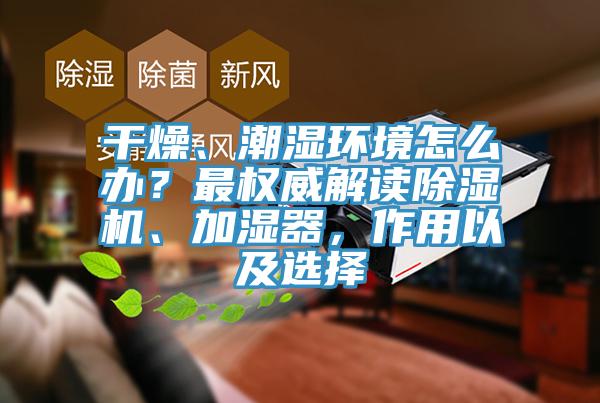 幹燥、潮濕環境怎麽辦？最權威解讀91看片软件大全、加濕器，作用以及選擇