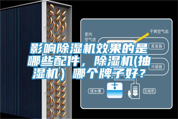 影響91看片软件大全效果的是哪些配件，91看片软件大全(抽濕機）哪個牌子好？