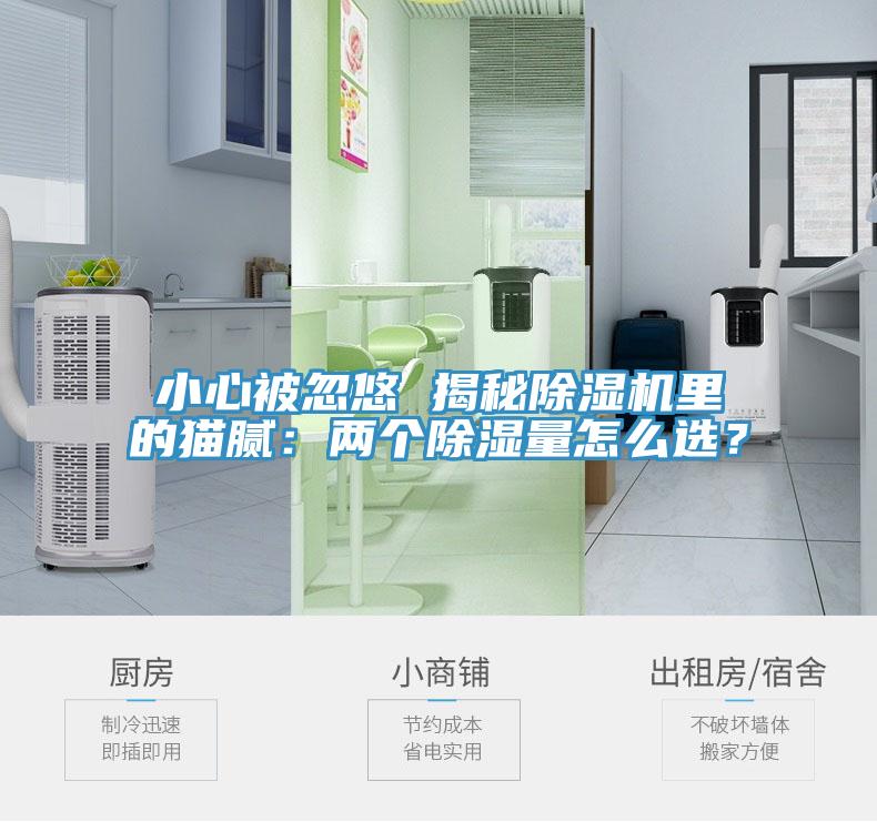 小心被忽悠 揭秘91看片软件大全裏的貓膩：兩個除濕量怎麽選？
