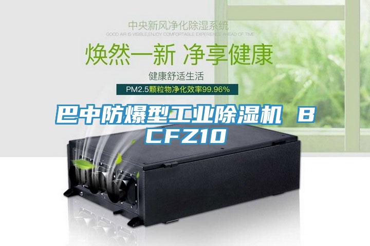 巴中防爆型工業91看片软件大全 BCFZ10