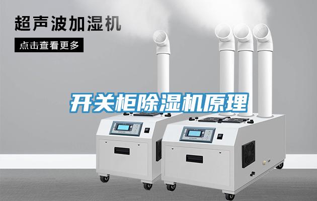 開關櫃91看片软件大全原理