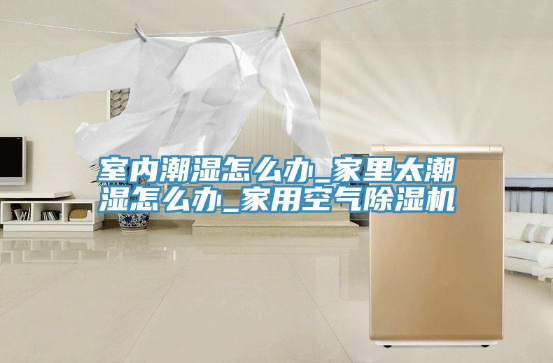 室內潮濕怎麽辦_家裏太潮濕怎麽辦_家用空氣91看片软件大全