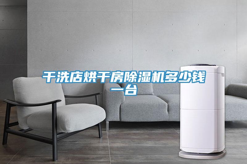 幹洗店烘幹房91看片软件大全多少錢一台