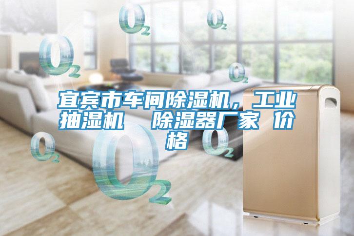 宜賓市車間91看片软件大全，工業抽濕機  除濕器廠家 價格