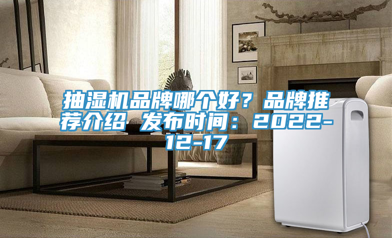 抽濕機品牌哪個好？品牌推薦介紹 發布時間：2022-12-17