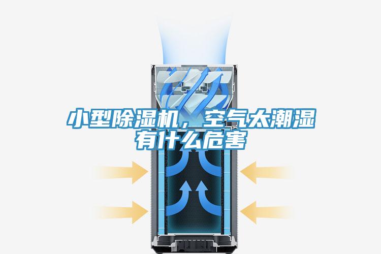 小型91看片软件大全，空氣太潮濕有什麽危害