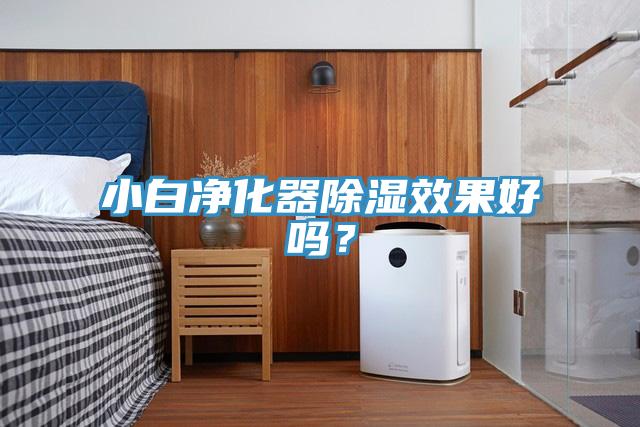 小白淨化器除濕效果好嗎？