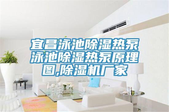 宜昌泳池除濕熱泵泳池除濕熱泵原理圖,91看片软件大全廠家