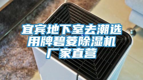 宜賓地下室去潮選用牌碧菱91看片软件大全廠家直營