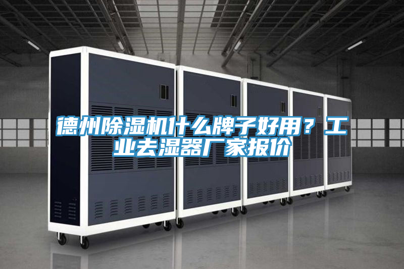 德州91看片软件大全什麽牌子好用？工業去濕器廠家報價