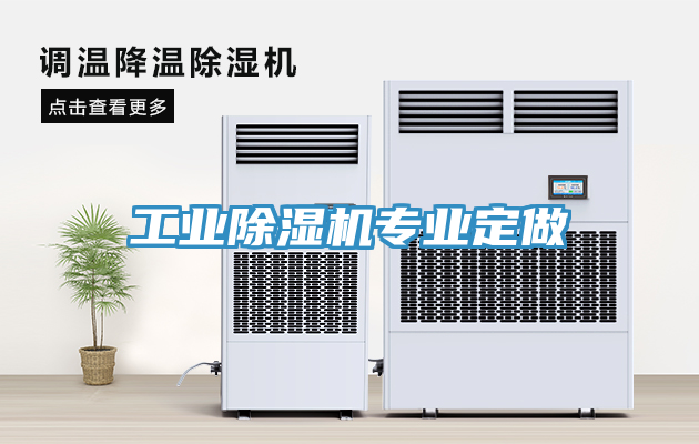 工業91看片软件大全專業定做