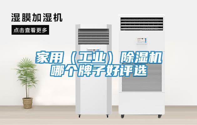 家用（工業）91看片软件大全哪個牌子好評選