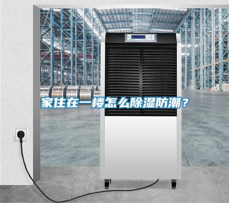 家住在一樓怎麽除濕防潮？