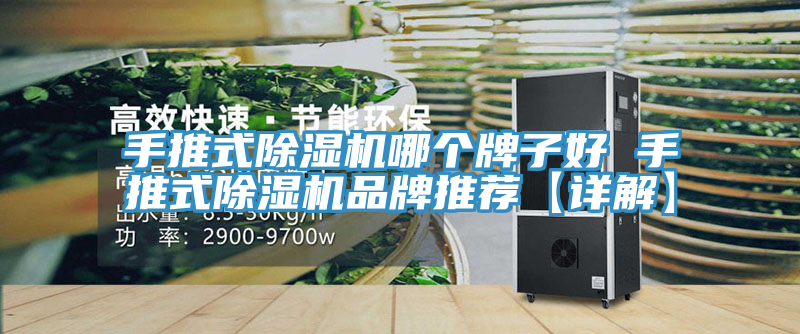 手推式91看片软件大全哪個牌子好 手推式91看片软件大全品牌推薦【詳解】