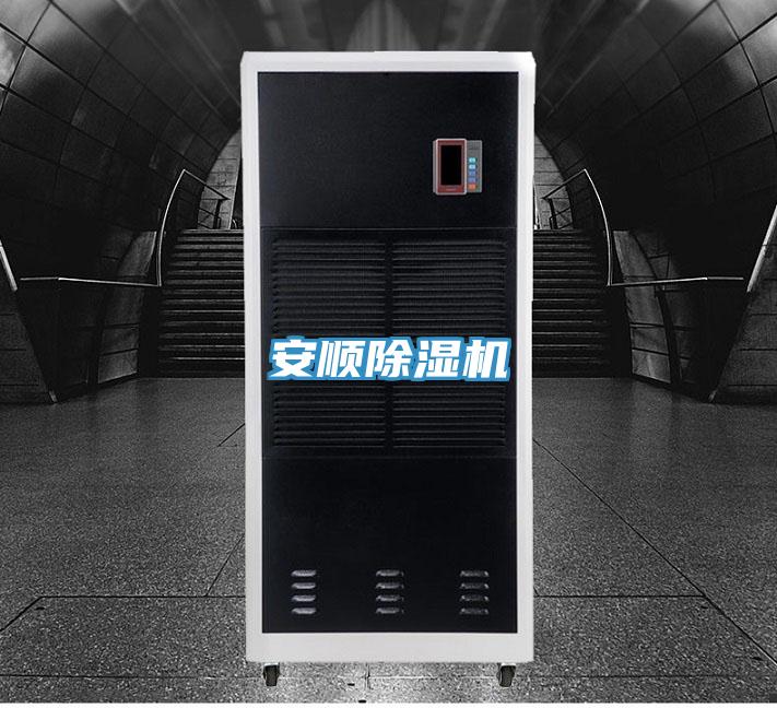 安順91看片软件大全