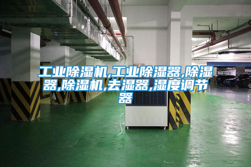 工業91看片软件大全,工業除濕器,除濕器,91看片软件大全,去濕器,濕度調節器