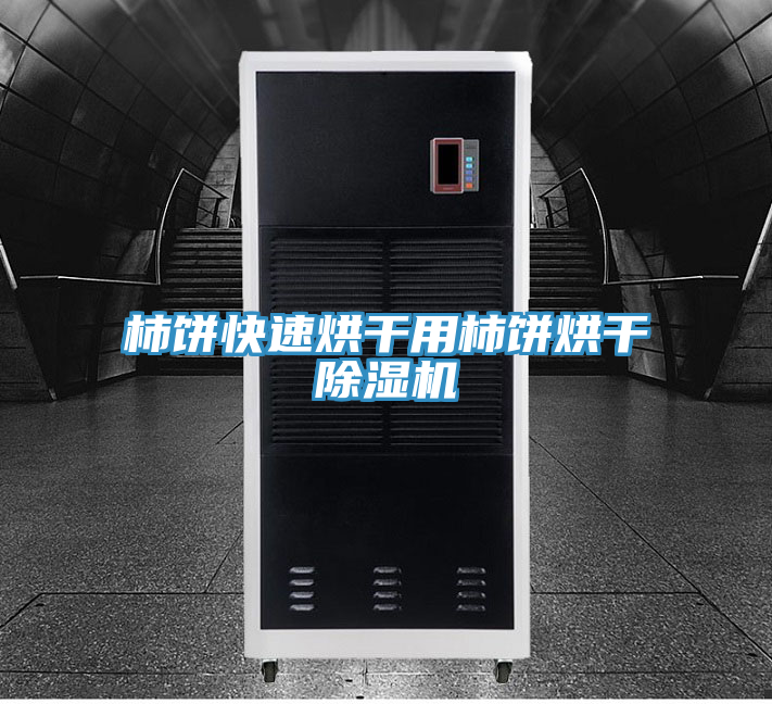 柿餅快速烘幹用柿餅烘幹91看片软件大全