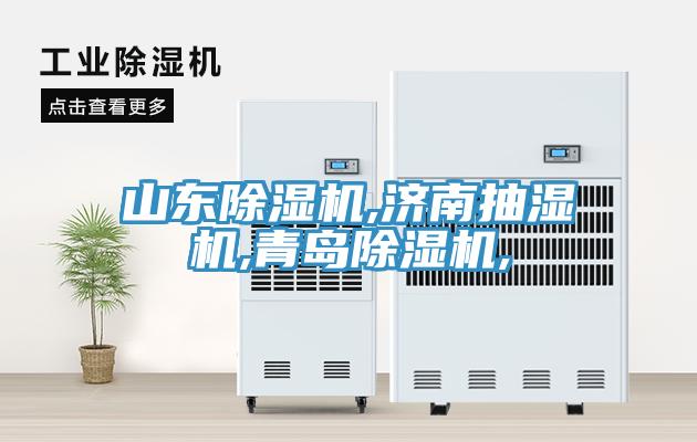 山東91看片软件大全,濟南抽濕機,青島91看片软件大全,