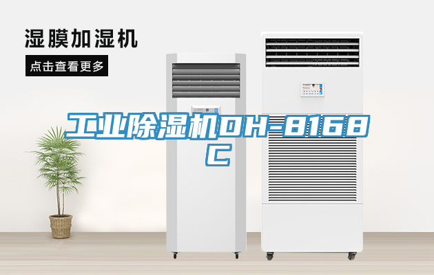 工業91看片软件大全DH-8168C