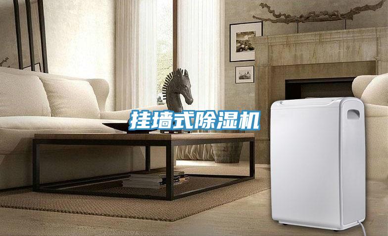 掛牆式91看片软件大全