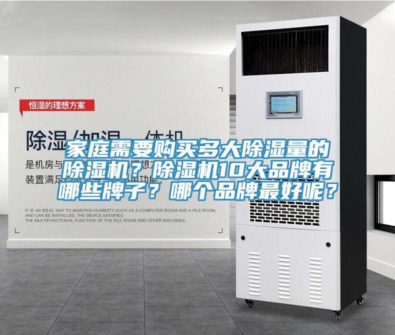 家庭需要購買多大除濕量的91看片软件大全？91看片软件大全10大品牌有哪些牌子？哪個品牌最好呢？