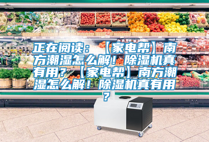 正在閱讀：【家電幫】南方潮濕怎麽解！91看片软件大全真有用？【家電幫】南方潮濕怎麽解！91看片软件大全真有用？