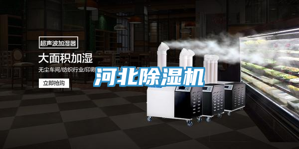 河北91看片软件大全