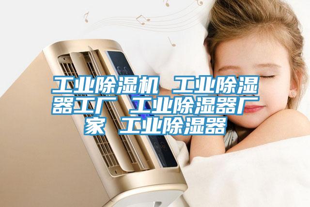 工業91看片软件大全 工業除濕器工廠 工業除濕器廠家 工業除濕器
