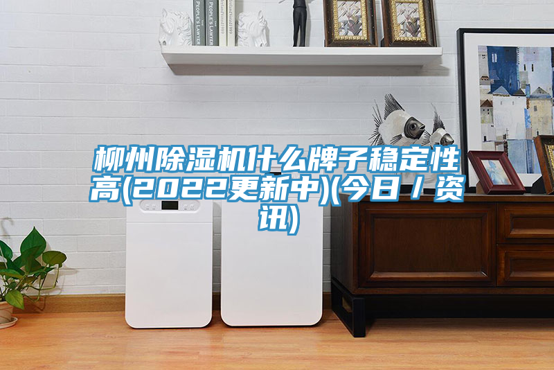 柳州91看片软件大全什麽牌子穩定性高(2022更新中)(今日／資訊)