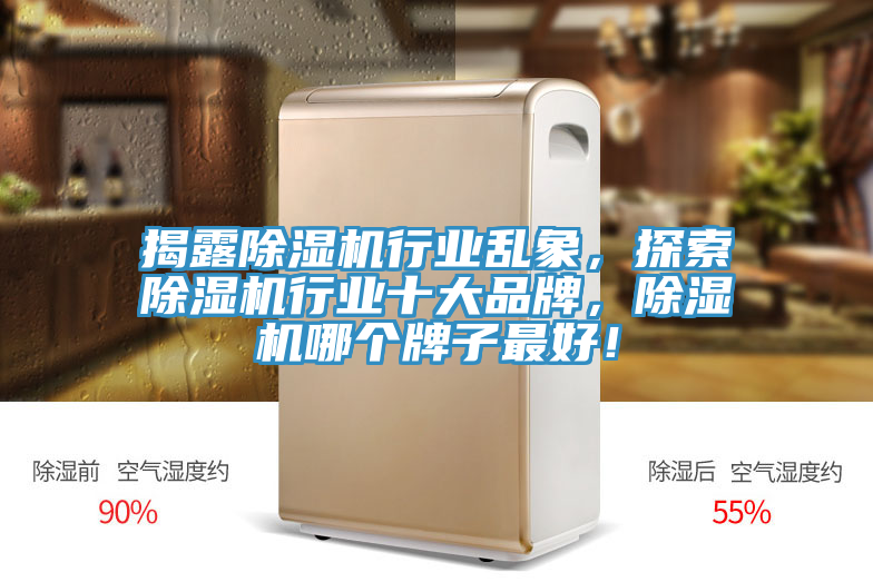 揭露91看片软件大全行業亂象，探索91看片软件大全行業十大品牌，91看片软件大全哪個牌子最好！