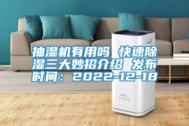 抽濕機有用嗎 快速除濕三大妙招介紹 發布時間：2022-12-18
