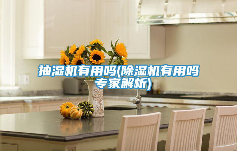抽濕機有用嗎(91看片软件大全有用嗎 專家解析)