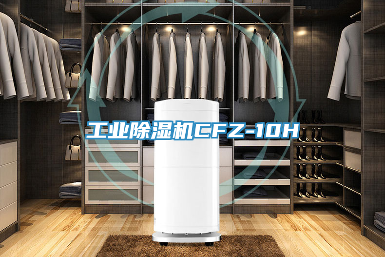 工業91看片软件大全CFZ-10H