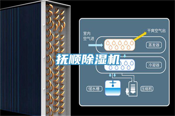 撫順91看片软件大全