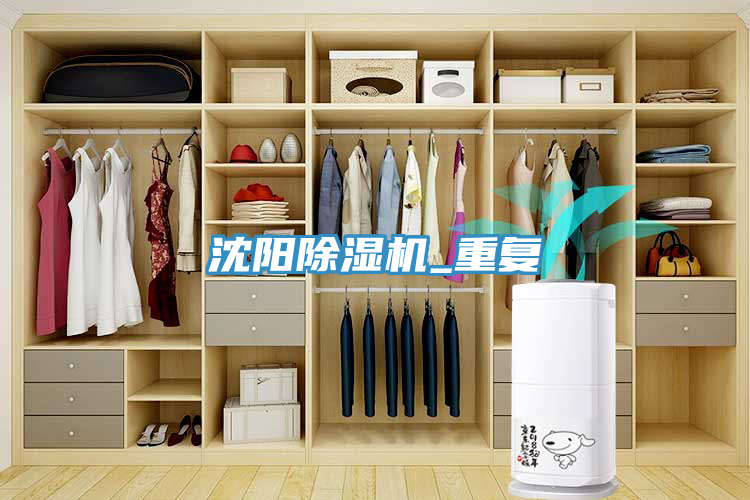 沈陽91看片软件大全_重複