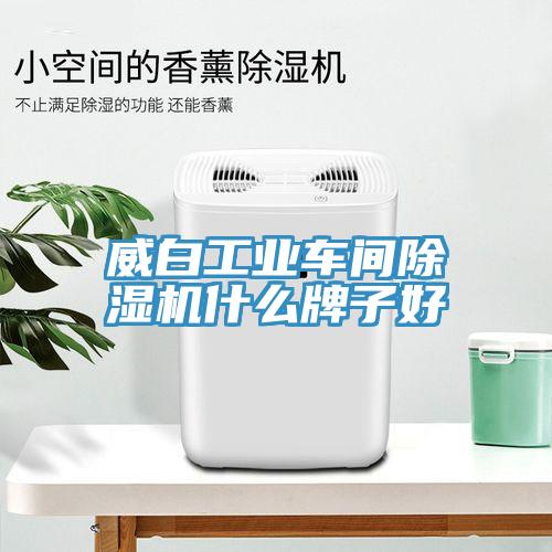 威白工業車間91看片软件大全什麽牌子好
