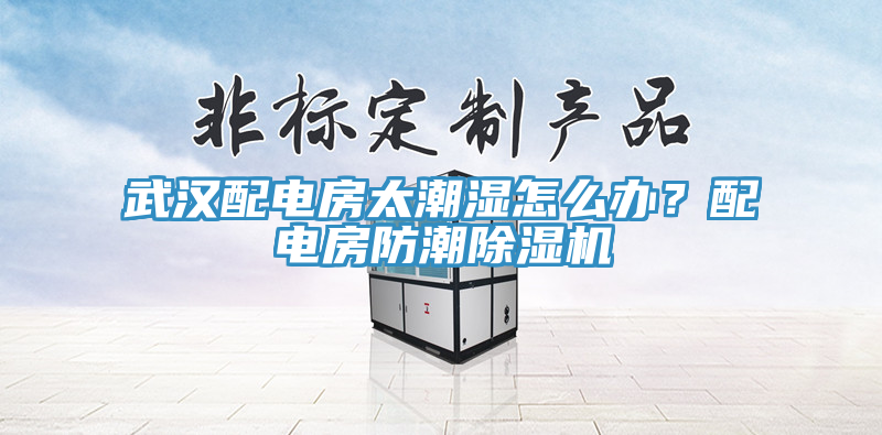 武漢配電房太潮濕怎麽辦？配電房防潮91看片软件大全