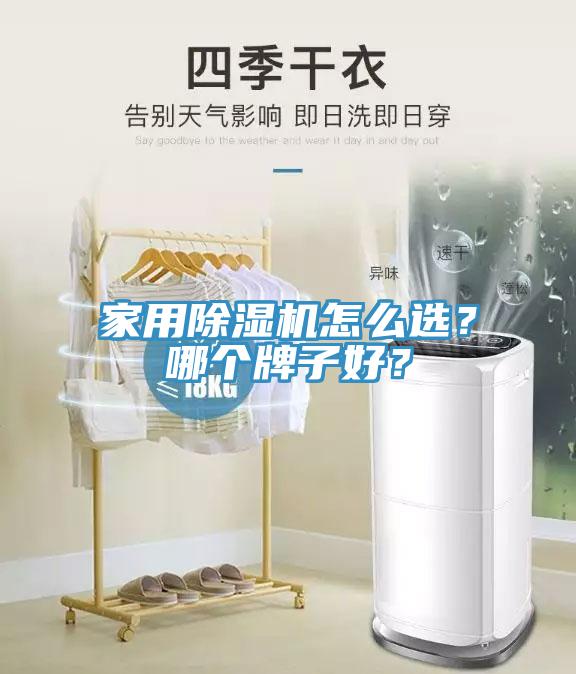 家用91看片软件大全怎麽選？哪個牌子好？