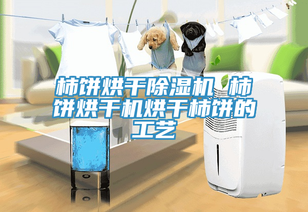 柿餅烘幹91看片软件大全 柿餅烘幹機烘幹柿餅的工藝